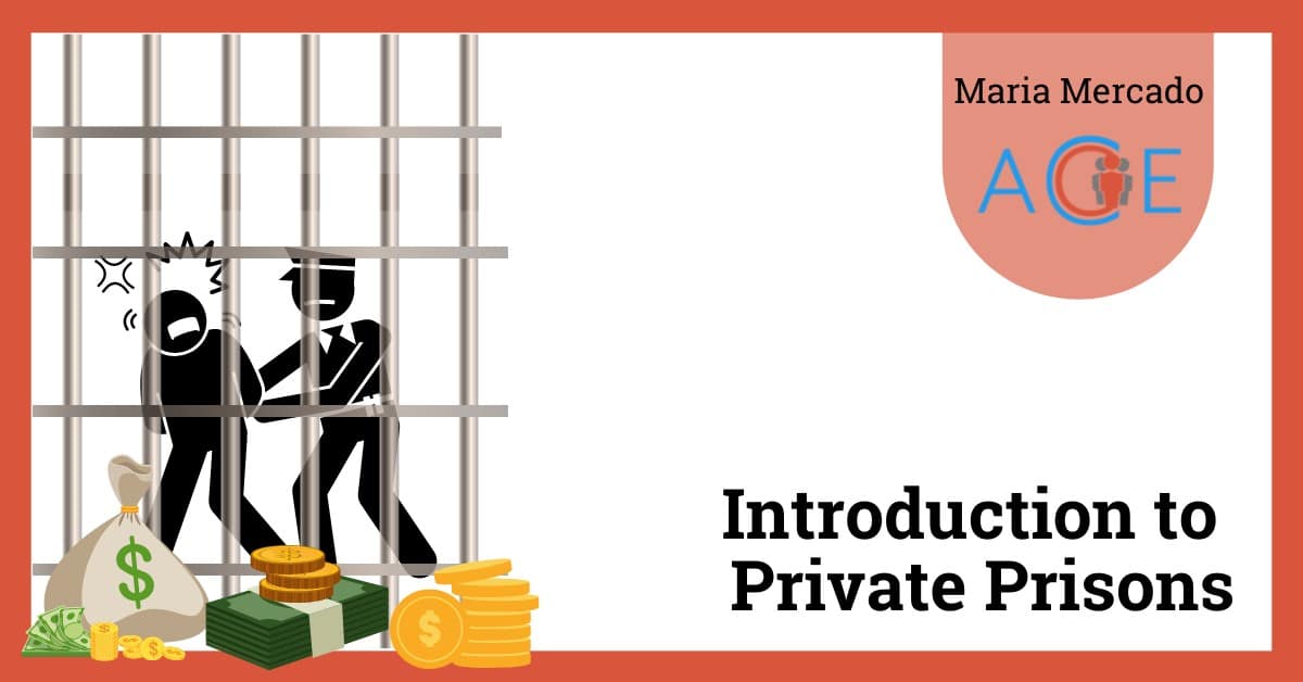 Introduction to Private Prisons