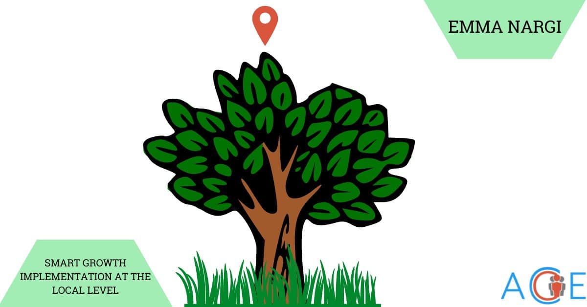 Smart Growth Implementation at the Local Level