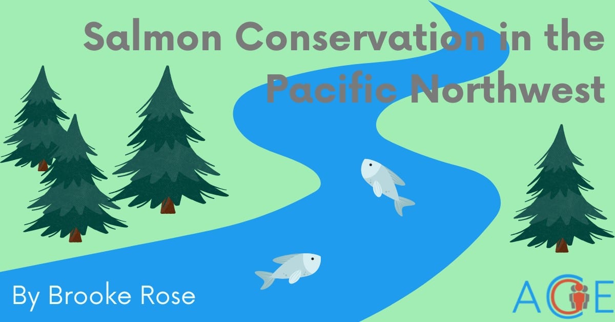 Salmon Conservation in the Pacific Northwest