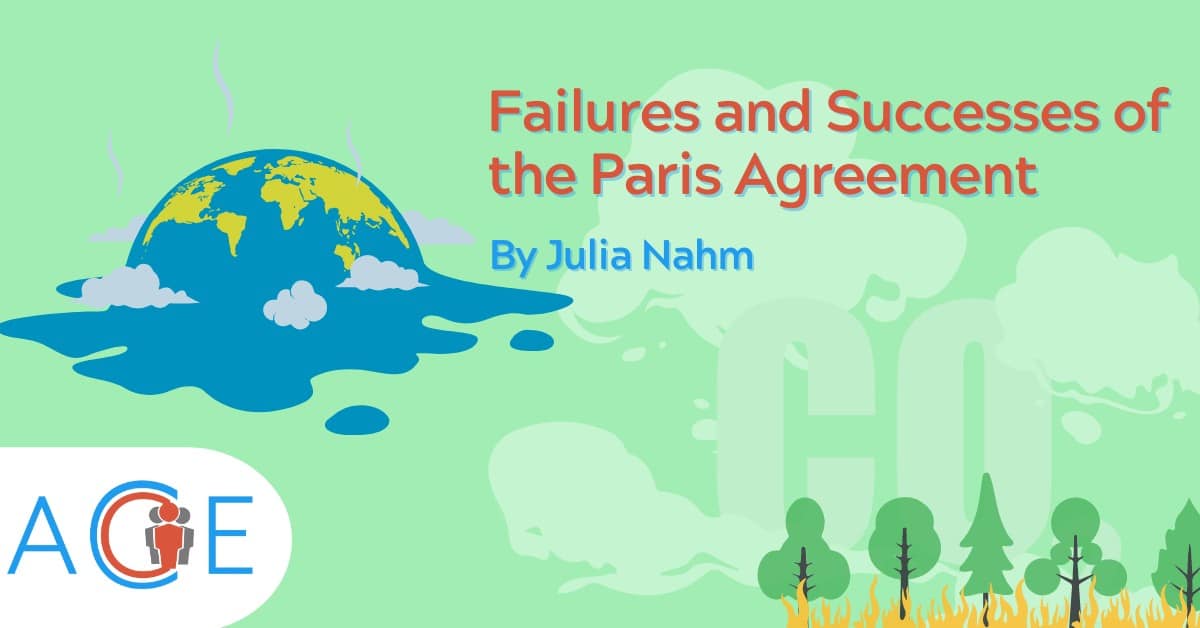 Failures and Successes of the Paris Agreement