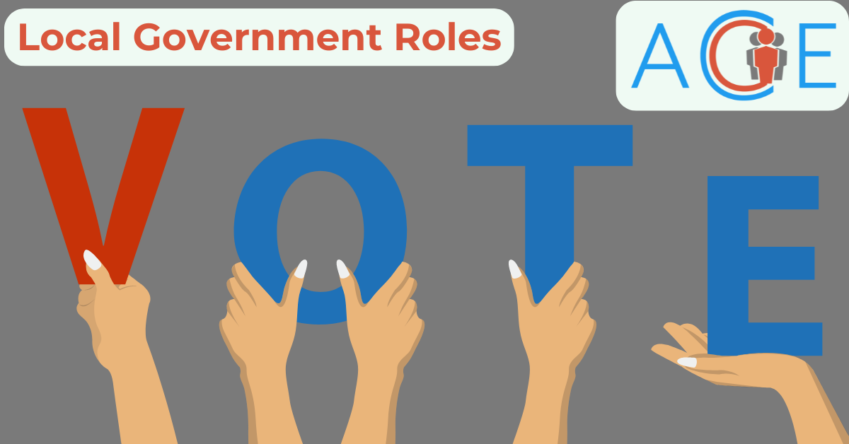 Local Government Roles 