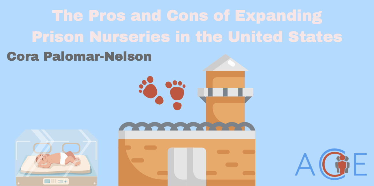 Pros and Cons of Prison Nursery Expansion in the United States