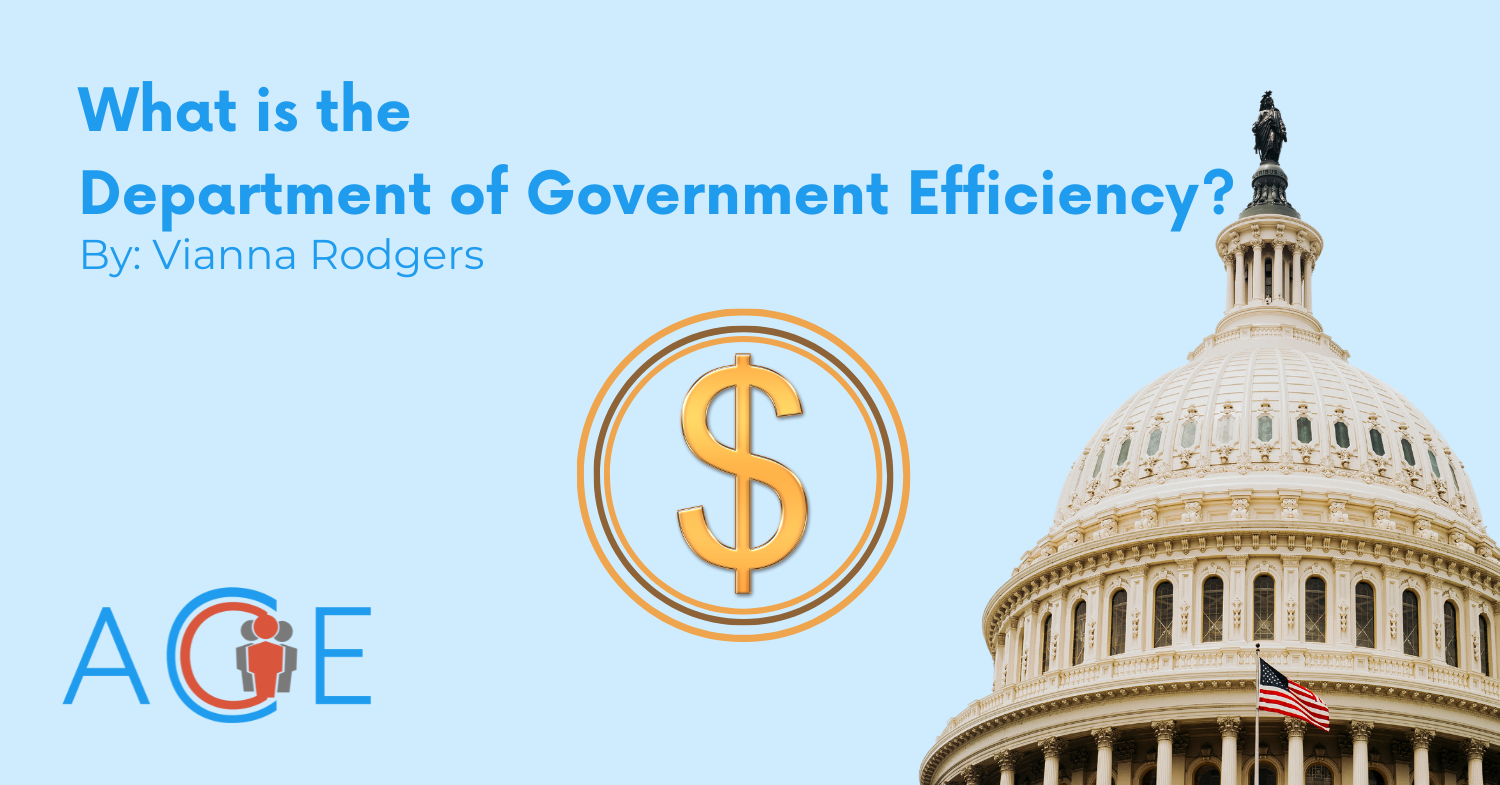 What is the Department of Government Efficiency? 